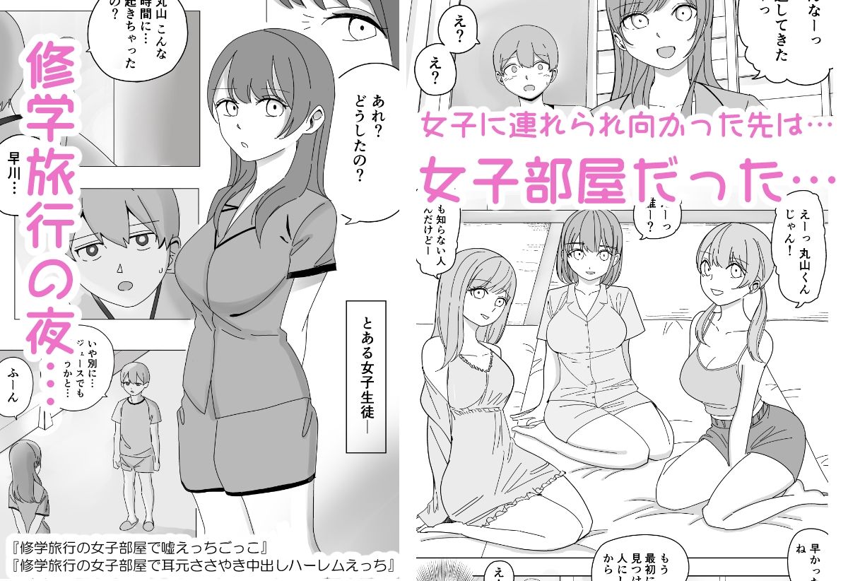 【総集編】ハーレムえっち修学旅行