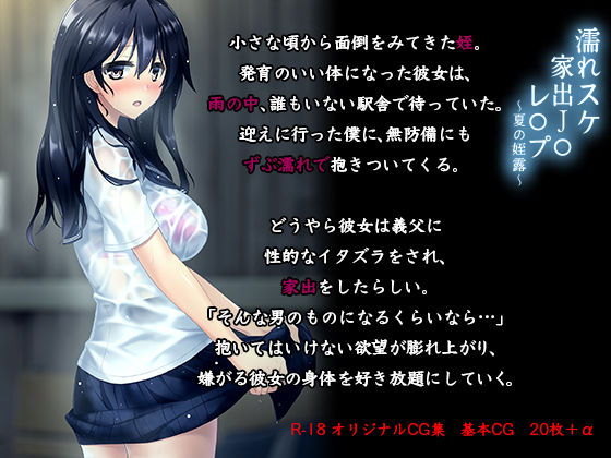 濡れスケ家出●●レ○プ 〜夏の姪露〜