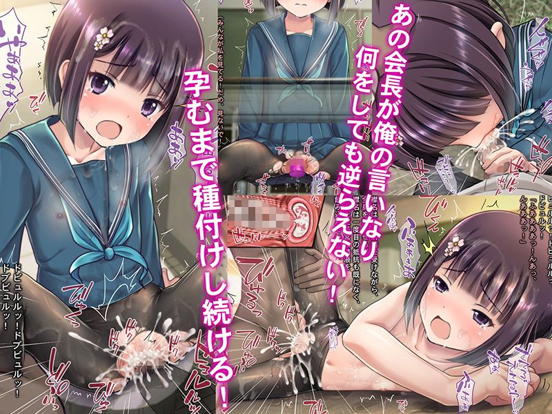 学園交尾指令 -おめでとうございます！あなたに『生徒会長を孕ませて良い権利』が与えられました！