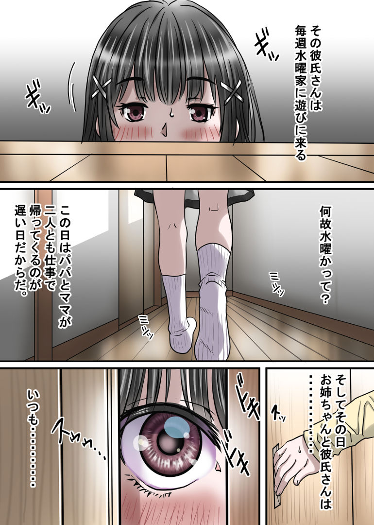 お姉ちゃんに彼氏ができた！