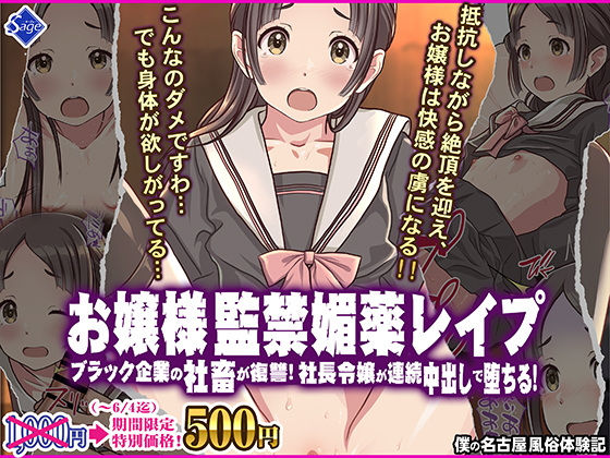 お嬢様監禁媚薬レ●プ-ブラック企業の社畜が復讐！社長令嬢が連続中出しで堕ちる！-