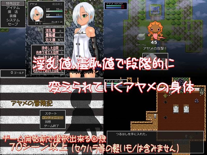 アヤメの冒険記 〜師匠の本を求めて〜