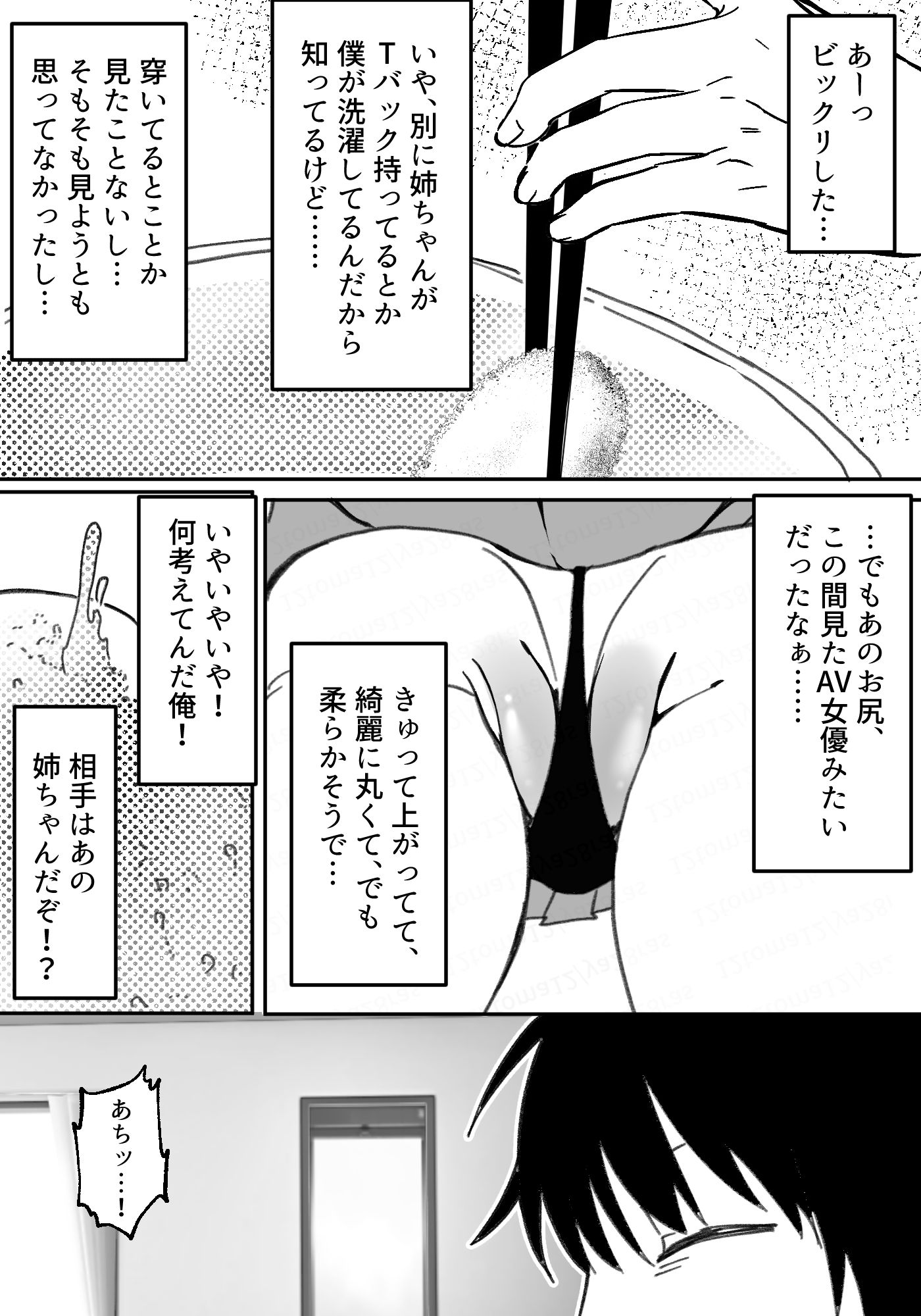 ギャル姉に犯●れた件！！ 〜姉と弟の秘密のカンケイ〜