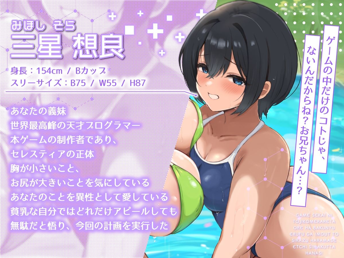 【2時間40分】ゲーム世界に閉じ込められた俺は爆乳エルフが妹と知らず孕ませエッチしまくった話【バイノーラル/兄妹/ファンタジー】