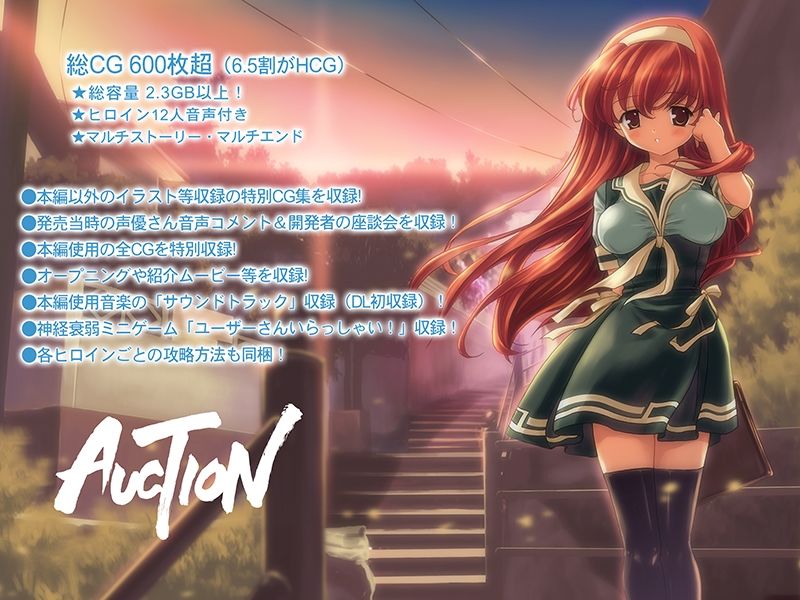 AUCTION -てんこ盛り完全版-【豪華特典付！】