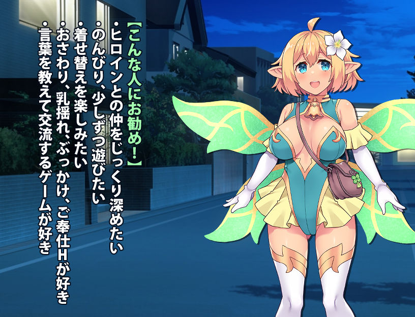 フェアリーメイト 〜手乗り妖精と過ごす日々〜