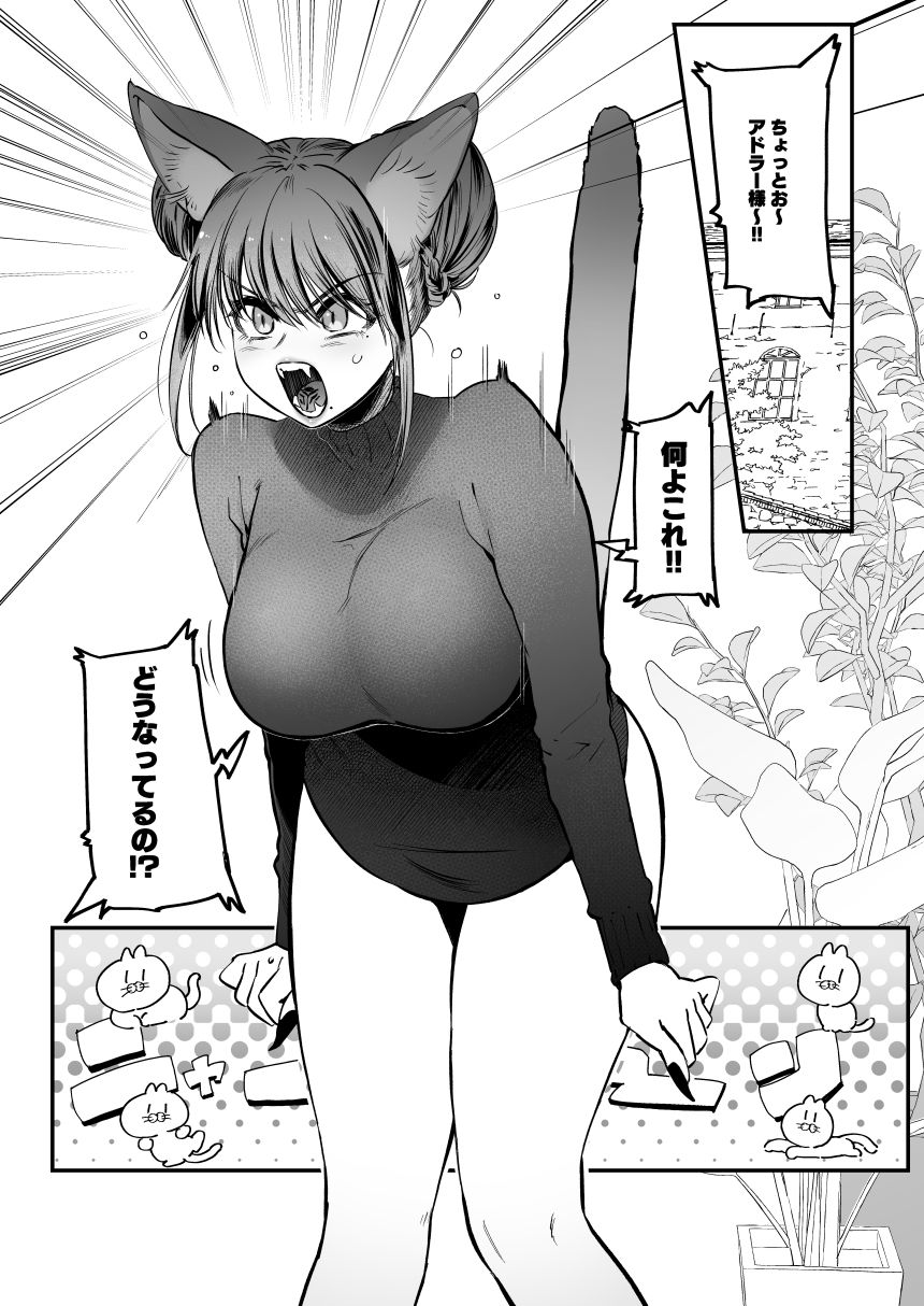 メスネコ！ランホアちゃん