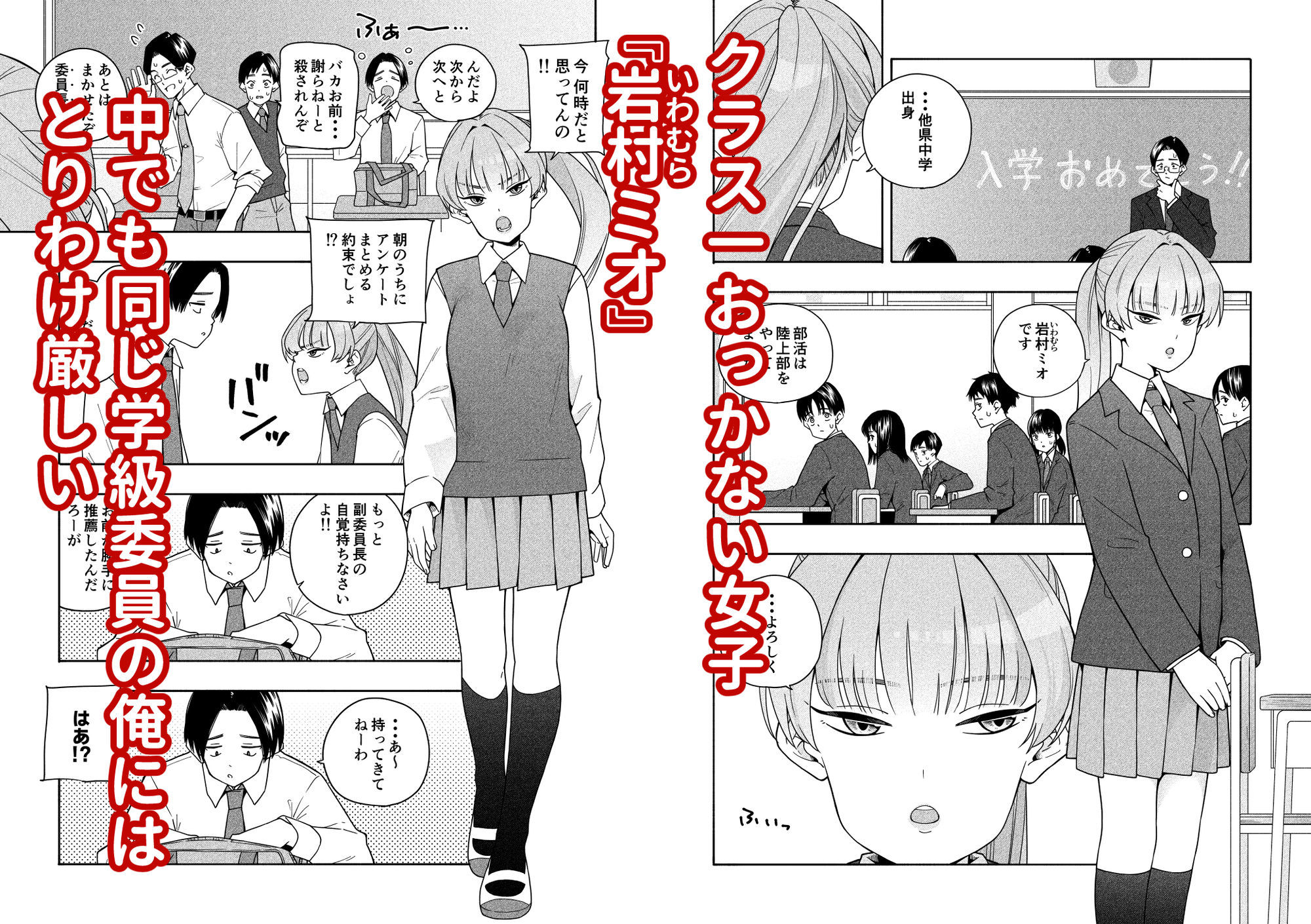 カムフラージュ