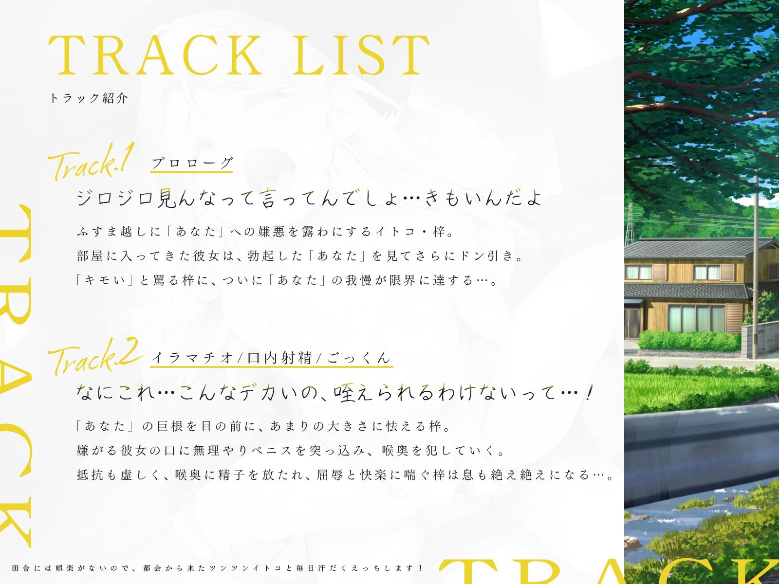 田舎には娯楽がないので、都会から来たツンツンイトコと毎日汗だくえっちします!(KU100マイク収録作品)