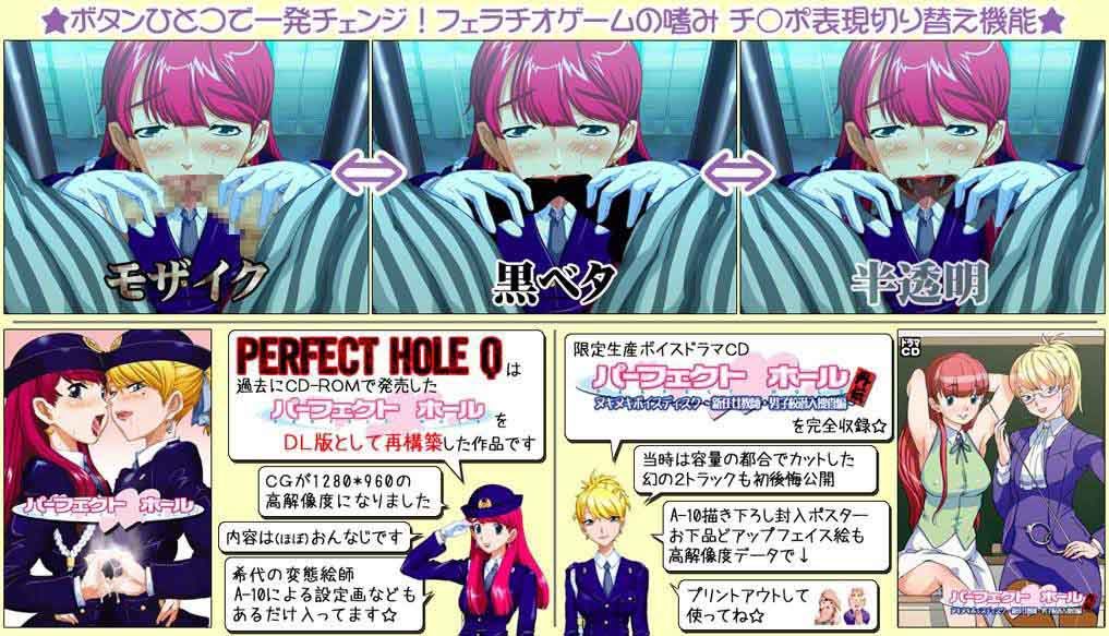 パーフェクトホールQ