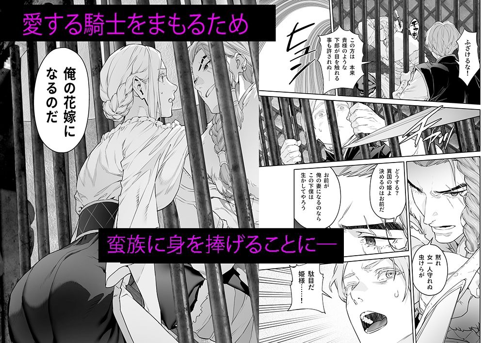 蛮族の花嫁