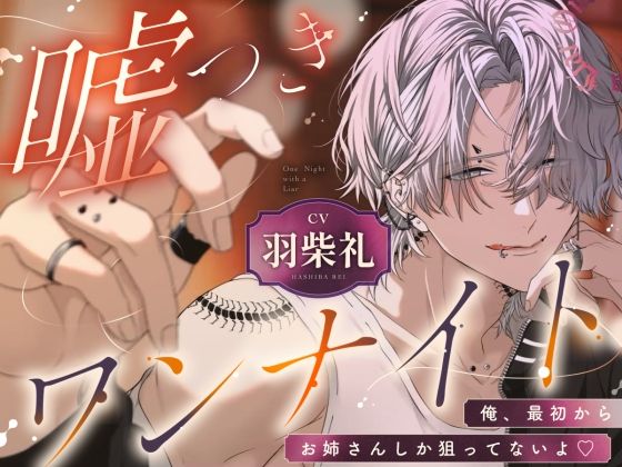 嘘つきワンナイト 俺、最初からお姉さんしか狙ってないよ
