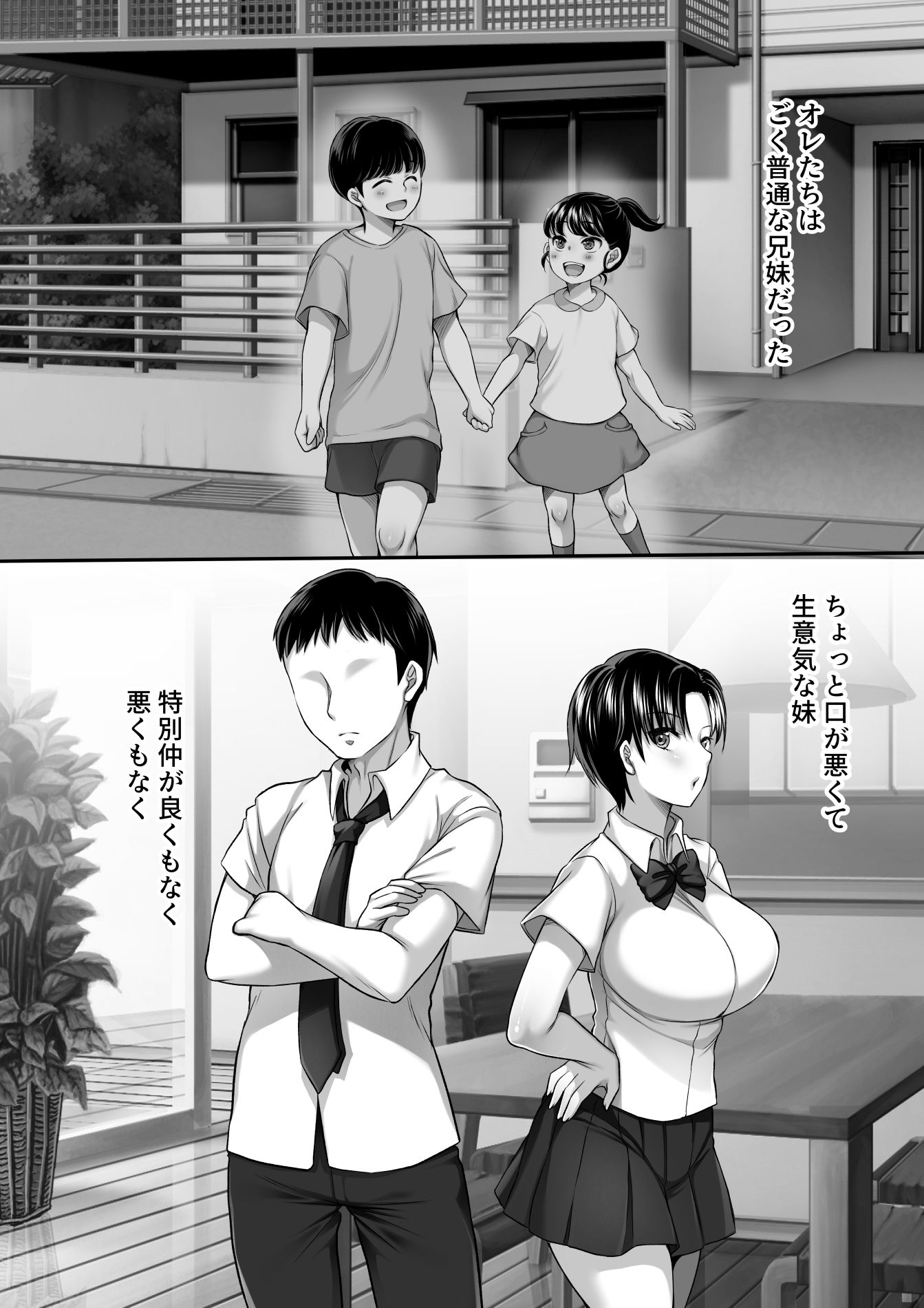 妹がセフレになった