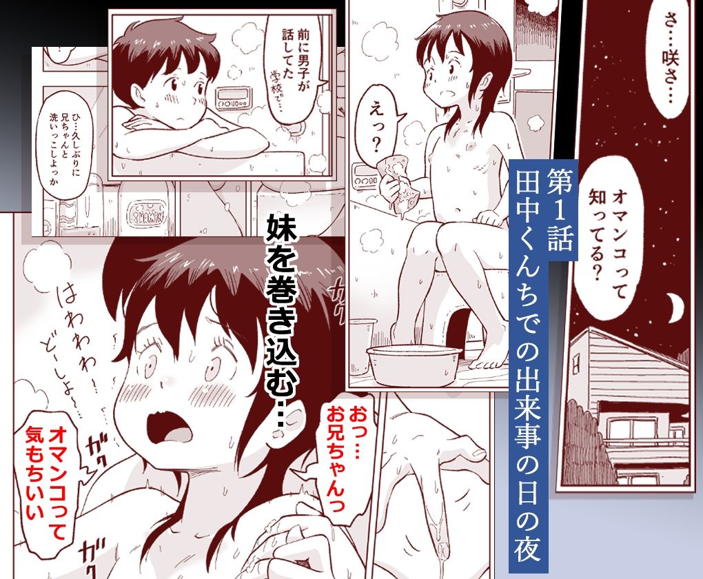 僕たちが田中くんちでセックスを知ってしまったその後のこと。