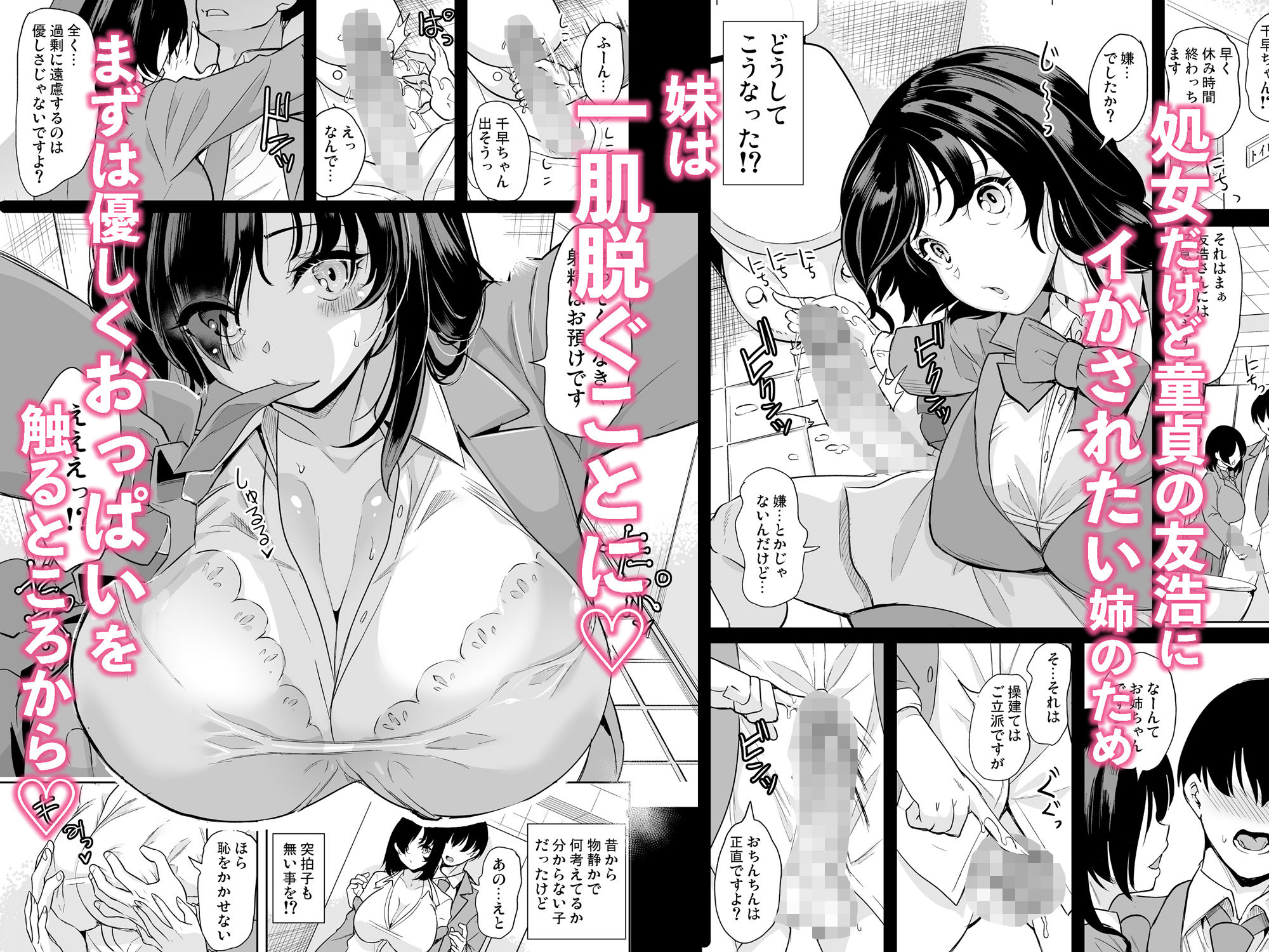 めんどくさい巨乳姉妹をセフレにした件