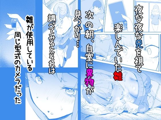 見守りカメラでお兄を視てたらあたしも視られてた話