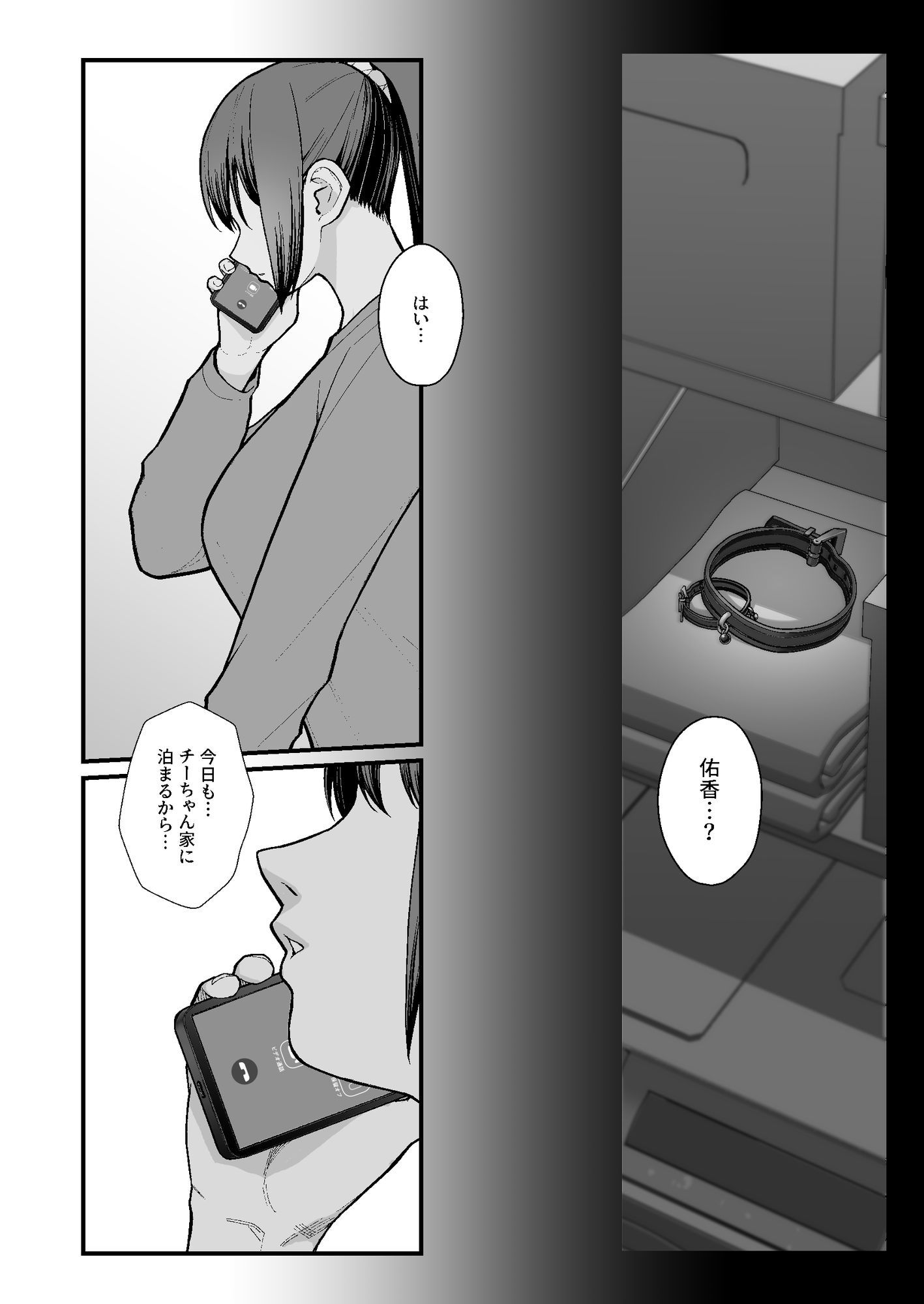 母娘に迫られ背徳に溺れる本