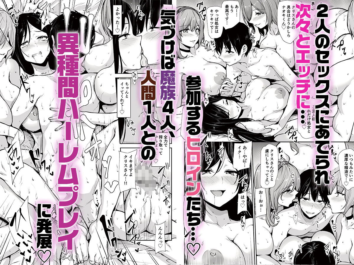 異世界ハーレム物語10